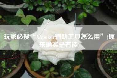 玩家必搜“AApoker辅助工具怎么用”(原来确实是有挂)