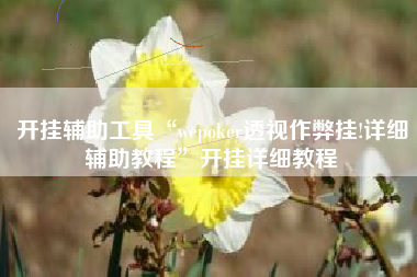 开挂辅助工具“wepoker透视作弊挂!详细辅助教程”开挂详细教程