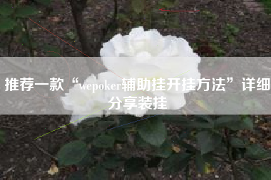 推荐一款“wepoker辅助挂开挂方法”详细分享装挂