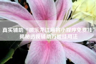 真实辅助“微乐龙江麻将小程序免费挂	”揭秘透视辅助万能挂用法