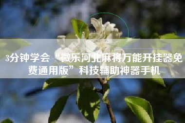 3分钟学会“微乐河北麻将万能开挂器免费通用版	”科技辅助神器手机