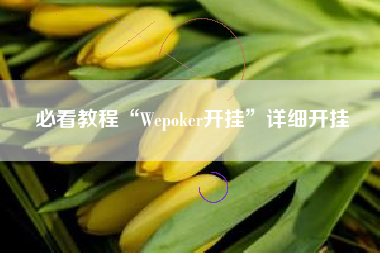 必看教程“Wepoker开挂”详细开挂
