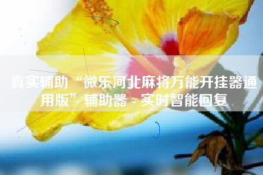 真实辅助“微乐河北麻将万能开挂器通用版”辅助器 - 实时智能回复