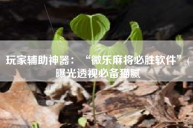 玩家辅助神器：“微乐麻将必胜软件”(曝光透视必备猫腻