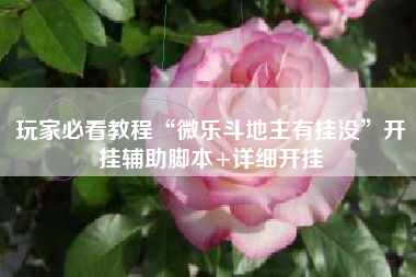 玩家必看教程“微乐斗地主有挂没	”开挂辅助脚本+详细开挂