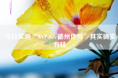 今日实测“WePoker德州作弊”其实确实有挂