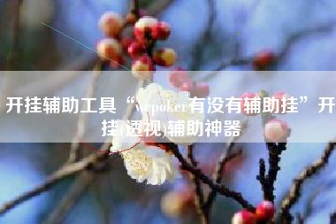 开挂辅助工具“wepoker有没有辅助挂	”开挂(透视)辅助神器