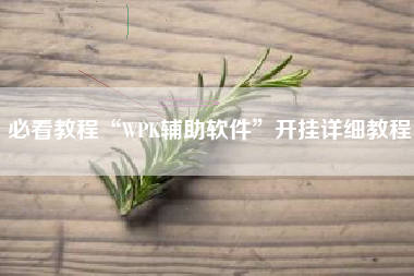 必看教程“WPK辅助软件”开挂详细教程