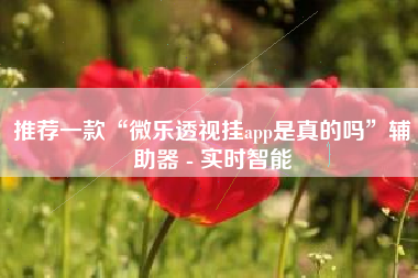 推荐一款“微乐透视挂app是真的吗”辅助器 - 实时智能