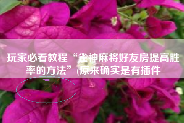 玩家必看教程“雀神麻将好友房提高胜率的方法	”(原来确实是有插件