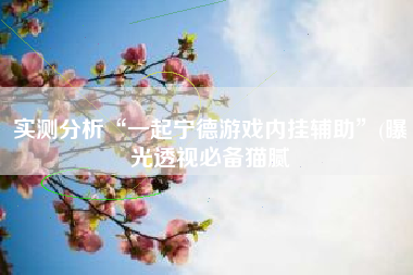 实测分析“一起宁德游戏内挂辅助”(曝光透视必备猫腻