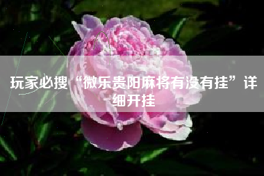 玩家必搜“微乐贵阳麻将有没有挂	”详细开挂