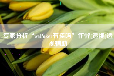 专家分析“wePoker有挂吗”作弊(透视)透视辅助