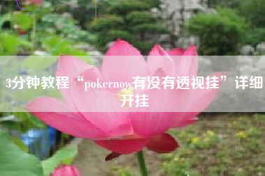 3分钟教程“pokernow有没有透视挂”详细开挂