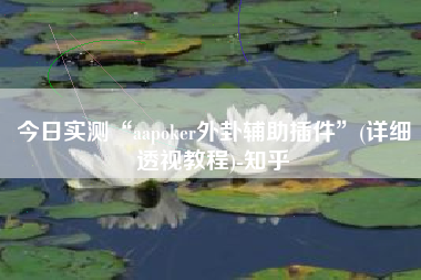 今日实测“aapoker外卦辅助插件	”(详细透视教程)-知乎