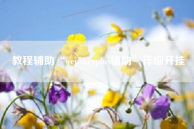 教程辅助“wepokerplus辅助”详细开挂
