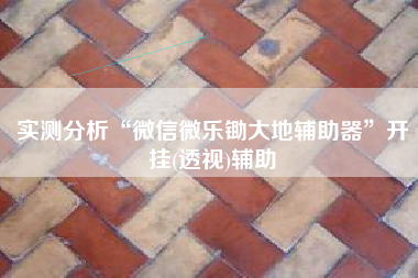 实测分析“微信微乐锄大地辅助器”开挂(透视)辅助