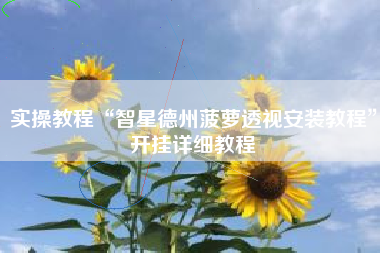 实操教程“智星德州菠萝透视安装教程	”开挂详细教程
