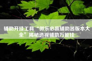 辅助开挂工具“微乐必赢辅助器版本大全	”揭秘透视辅助万能挂
