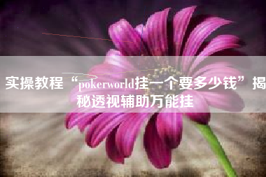 实操教程“pokerworld挂一个要多少钱”揭秘透视辅助万能挂