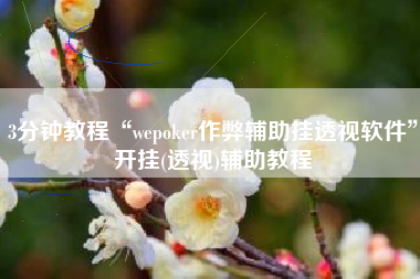 3分钟教程“wepoker作弊辅助挂透视软件	”开挂(透视)辅助教程