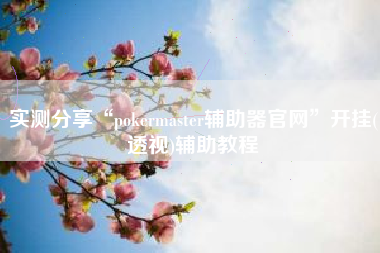 实测分享“pokermaster辅助器官网”开挂(透视)辅助教程