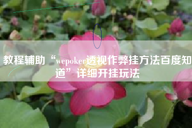 教程辅助“wepoker透视作弊挂方法百度知道	”详细开挂玩法