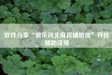 软件分享“微乐河北麻将辅助器	”开挂辅助详细
