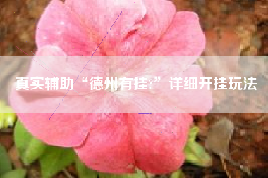 真实辅助“德州有挂?”详细开挂玩法