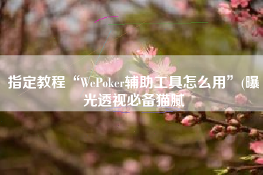 指定教程“WePoker辅助工具怎么用”(曝光透视必备猫腻