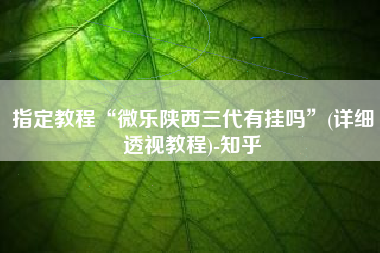指定教程“微乐陕西三代有挂吗	”(详细透视教程)-知乎