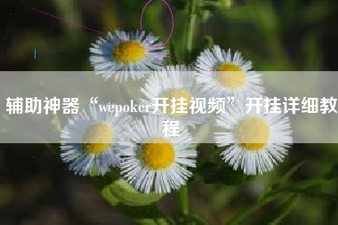 辅助神器“wepoker开挂视频	”开挂详细教程