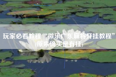 玩家必看教程“微乐广东麻将开挂教程”(原来确实是有挂)