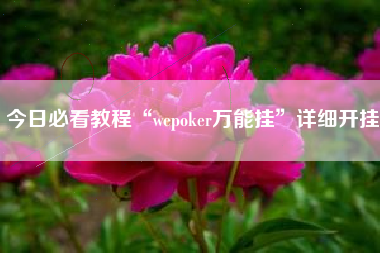 今日必看教程“wepoker万能挂”详细开挂