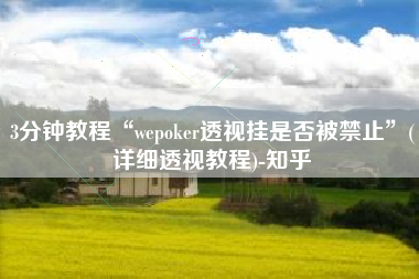 3分钟教程“wepoker透视挂是否被禁止	”(详细透视教程)-知乎