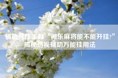 辅助开挂工具“微乐麻将能不能开挂?”揭秘透视辅助万能挂用法