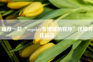 推荐一款“wepoker专用辅助程序”详细开挂玩法