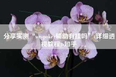 分享实测“we-poker辅助有挂吗”(详细透视教程)-知乎