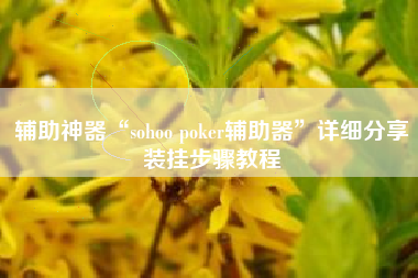 辅助神器“sohoo poker辅助器	”详细分享装挂步骤教程
