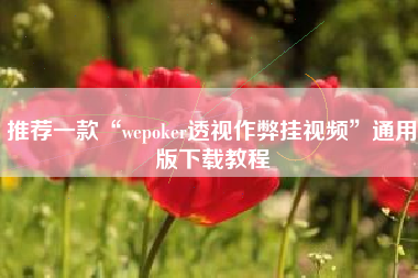 推荐一款“wepoker透视作弊挂视频”通用版下载教程