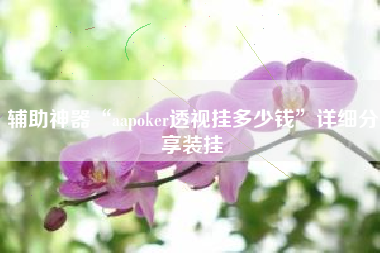辅助神器“aapoker透视挂多少钱	”详细分享装挂