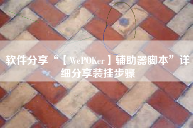 软件分享“【WePOKer】辅助器脚本	”详细分享装挂步骤