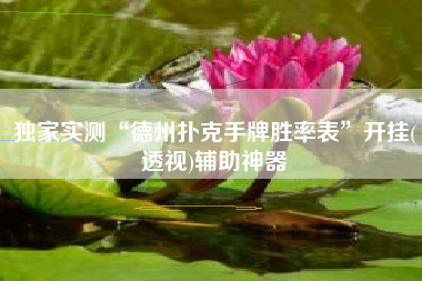 独家实测“德州扑克手牌胜率表”开挂(透视)辅助神器