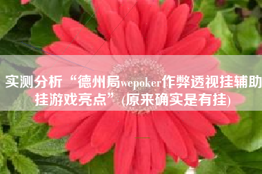 实测分析“德州局wepoker作弊透视挂辅助挂游戏亮点”(原来确实是有挂)