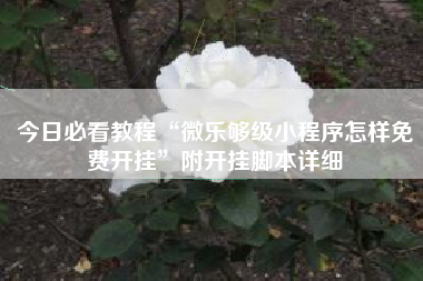 今日必看教程“微乐够级小程序怎样免费开挂”附开挂脚本详细