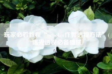 玩家必看教程“wepoker作弊透视方法”(曝光透视必备猫腻