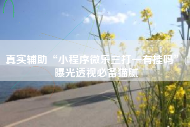 真实辅助“小程序微乐三打一有挂吗	”(曝光透视必备猫腻