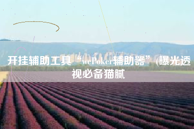 开挂辅助工具“wePoker辅助器”(曝光透视必备猫腻
