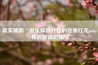 真实辅助“微乐麻将开挂的危害红龙poker有透视辅助挂(太