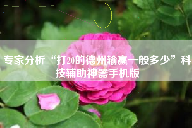 专家分析“打20的德州输赢一般多少”科技辅助神器手机版